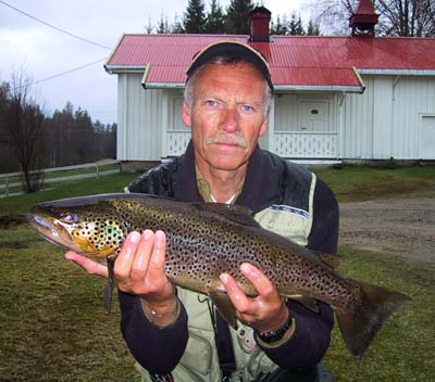 Nice brown trout at Plassen